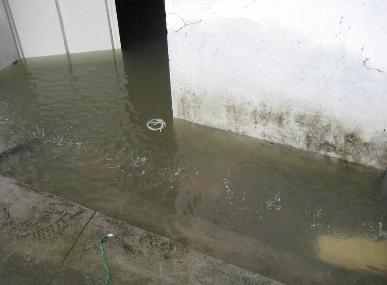 看看台风给我们带来的灾难吧。(继续更新中)-咖