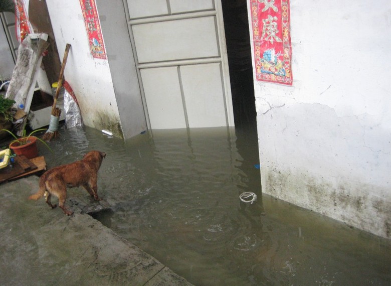 看看台风给我们带来的灾难吧。(继续更新中)-咖