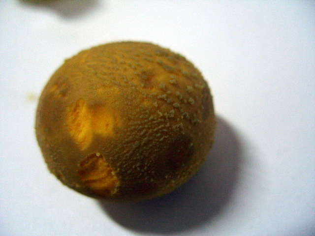 滚鸡蛋去湿毒,祛风。美容又健康。有图有真相