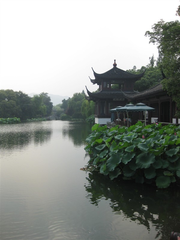 我的心里只有你没有他(独家)