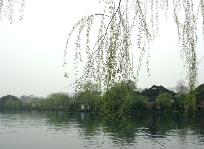 结婚周年庆,携手游西湖,为了杭州旅游消费券,大