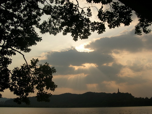 拨开云雾见天日，不求感人只为抒怀-草根消息-杭州19楼