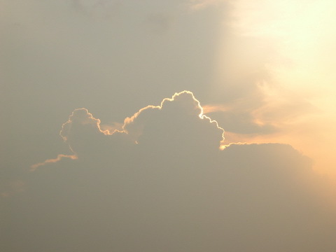 拨开云雾见天日,不求感人只为抒怀-草根消息-杭