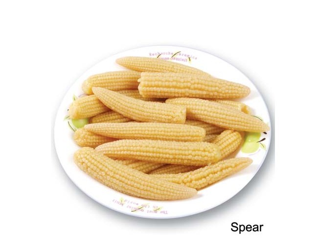 问问楼里的各位殿堂级煮妇，小玉米哪里有卖啊???~~~~~~~~~~-19楼私房菜-杭州19楼