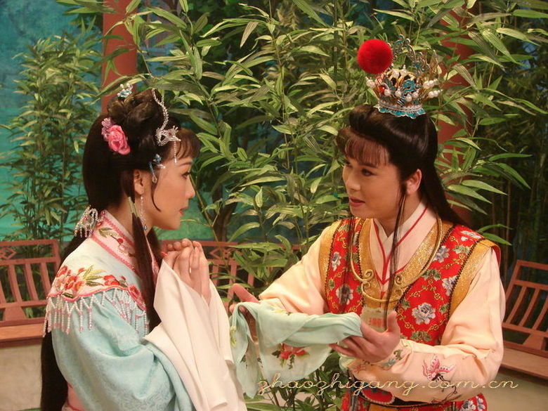 越剧电影《红楼梦》,越剧王子赵志刚主演-电影