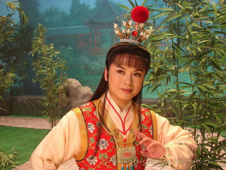 越剧电影《红楼梦》,越剧王子赵志刚主演-电影