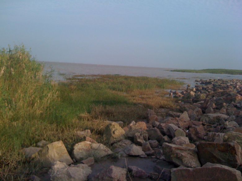 长江边上江鱼鲜(附无锡凯宾斯基自助餐)