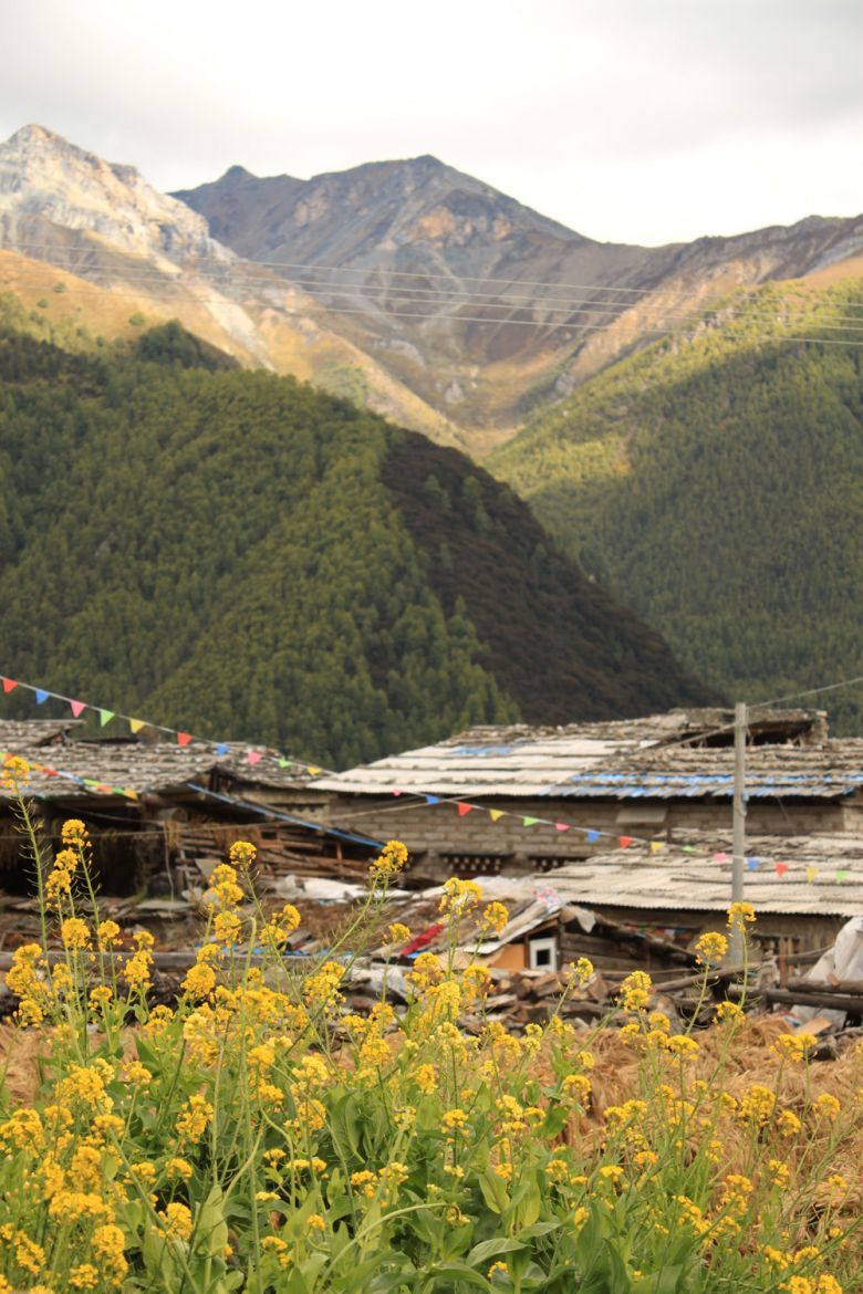 10.1稻城亚丁包车游-行行色色-户外运动-杭州1