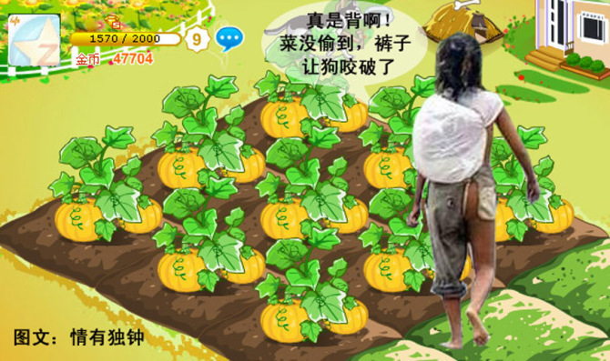 QQ农场偷菜的后果(自创搞笑作品)-八卦田-杭州