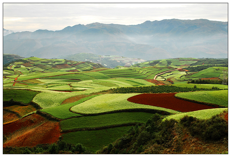 七彩调色板--东川红土地(高清 30P )-美景-养眼