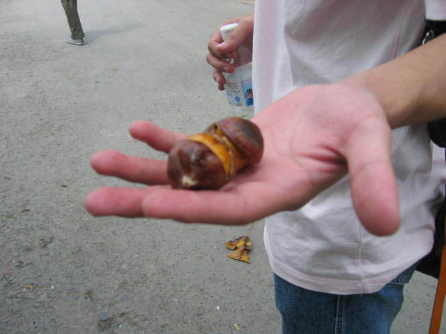 嘿,祝你旅途愉快。-旅游先遣队-杭州19楼