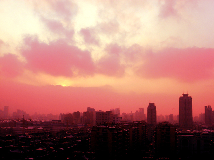 --我的窗户是一副画;四季更替,变化万千---19摄