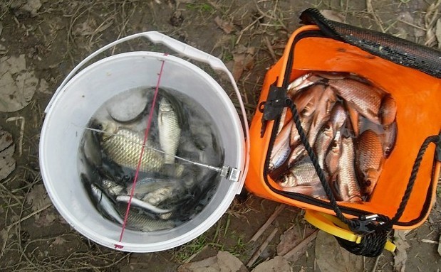 海南三亚自助游攻略 照片集(原创)-旅游先遣队