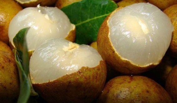 看了就让人流口水的海南水果(组图)-游记攻略-旅游先遣队-杭州19楼