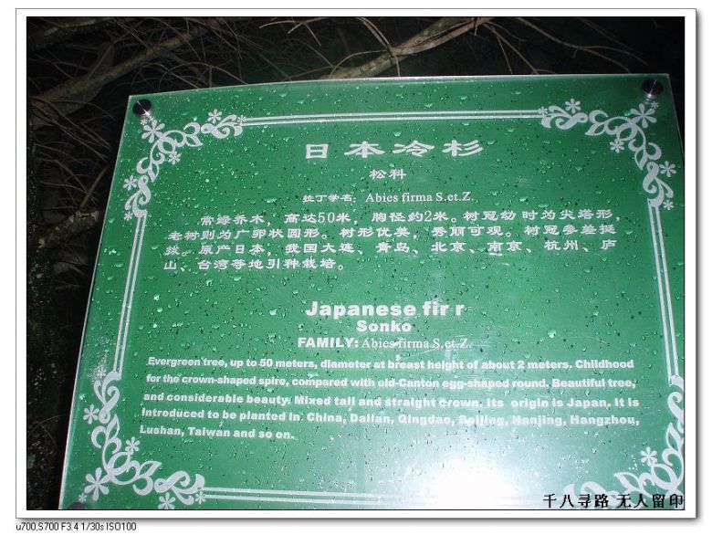 元旦千八尋夢 無人天堂留痕