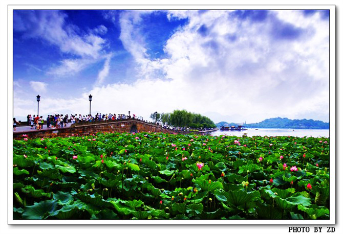 毕竟西湖一月中,风光不与六月同-19摄区-杭州1