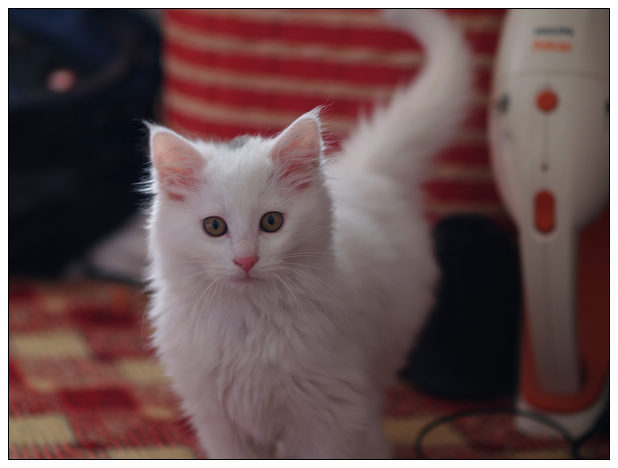 19楼百家猫猫开“趴替”ing~超多美猫照片~猫奴们继续来报道吧~-第5页-家有宠物-杭州19楼