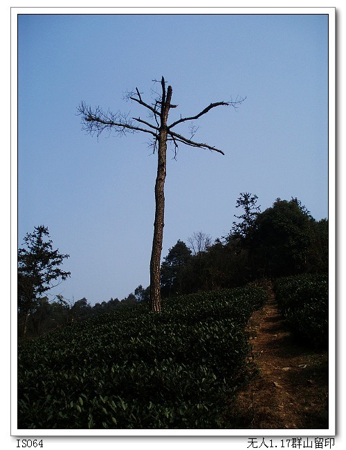 群山土路攻略（5小時以上路線）