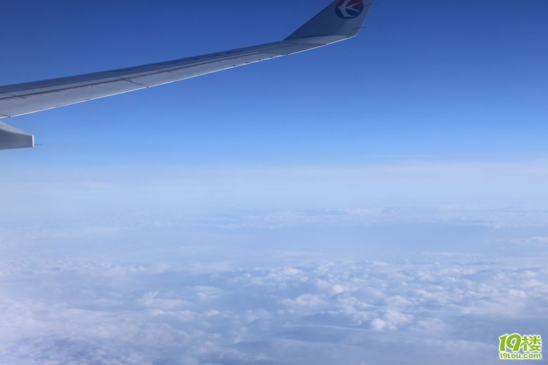 2010年美国洛杉矶之旅-开会+游玩的随意旅行