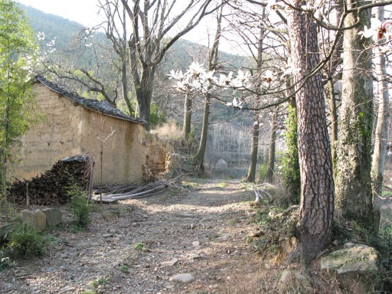 ÔzӰƷ