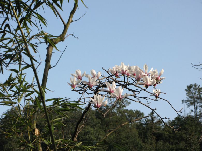 ÔzӰƷ