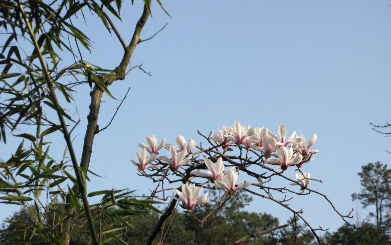 ÔzӰƷ