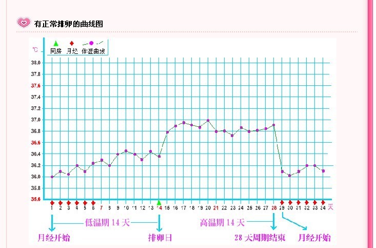 备孕开贴了