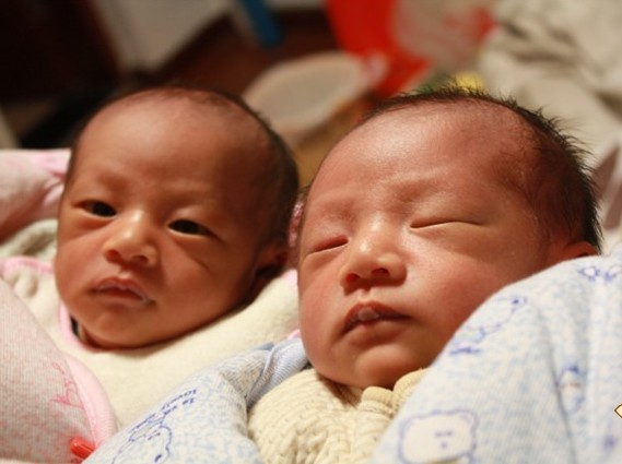 大年初二诞生的两只小虎仔-准妈妈论坛-杭州1