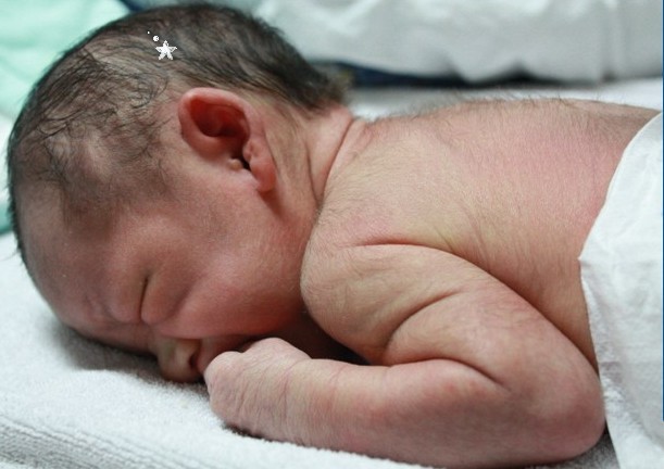 大年初二诞生的两只小虎仔-准妈妈论坛-杭州1