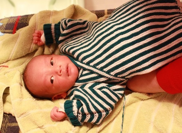 大年初二诞生的两只小虎仔-准妈妈论坛-杭州1