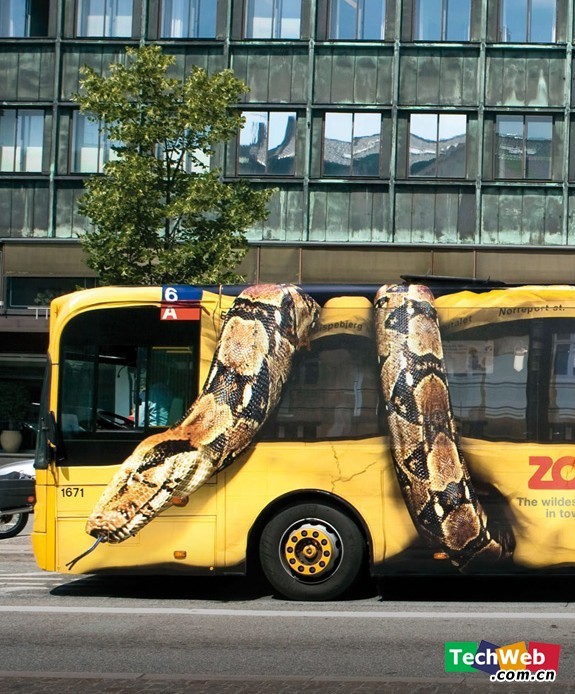 [他山之石]狂蟒之灾 公交大巴受到蟒蛇的肆意摧