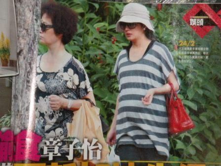 赵薇大肚待孕照曝光 老公黄有龙\ 偷腥\ 章子怡