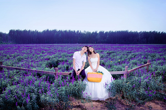 唯美紫色熏衣草婚纱照登场!-结婚大本营-杭州1