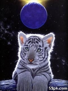 我想养只老虎-情感沙龙-杭州19楼