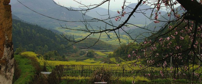 春色堂梓上-边走边拍-杭州19楼