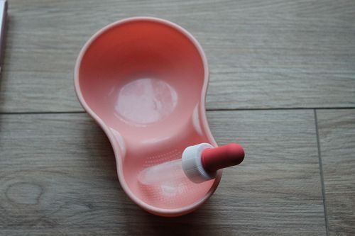 小奶狗喂婴儿奶粉以后拉稀,怎么办啊(便便照片