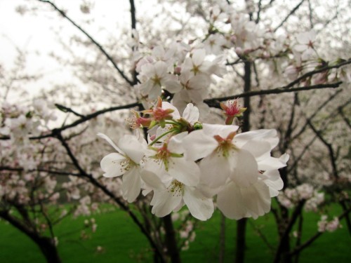 【三月出发】为了一个美丽的约定~~青春万岁