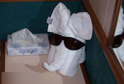 服务员的日志:两个MM住完酒店退房后 我被雷