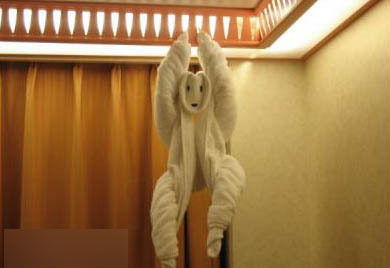 服务员的日志:两个MM住完酒店退房后 我被雷