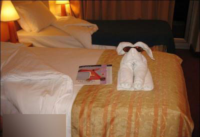 服务员的日志:两个MM住完酒店退房后 我被雷