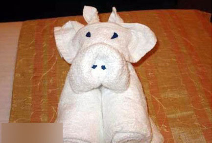 服务员的日志:两个MM住完酒店退房后 我被雷