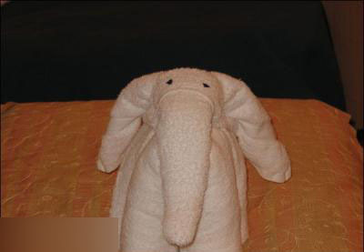 服务员的日志:两个MM住完酒店退房后 我被雷