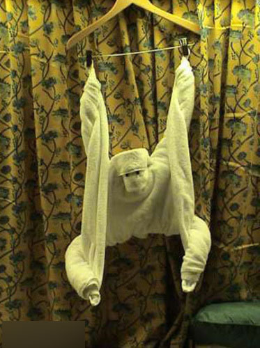 服务员的日志:两个MM住完酒店退房后 我被雷