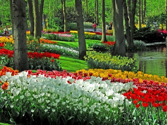 准备蜜月去寻找荷兰犀利范儿,精心筹备中!-八