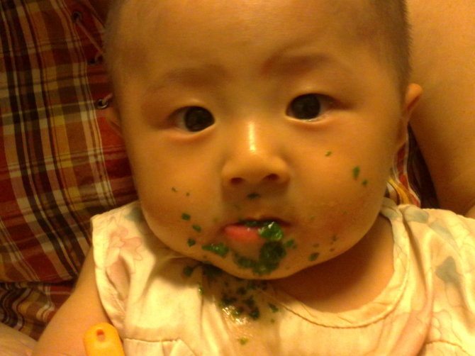 我是偎灶猫--有哪个吃青菜能吃到这个境界的说