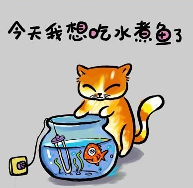猫言猫语 (搞笑彩图)1-爱在人间天堂-杭州19楼