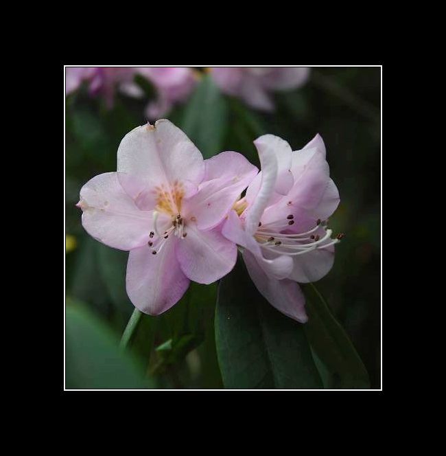 很有爬山乐趣的大明山--迟到的作业-行行色色-