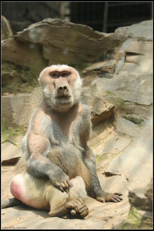 五一劳动节动物园掠影 祝大家节日快乐-路上见