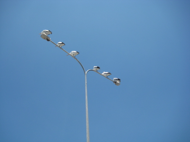 澳大利亚新西兰11日蜜月游-结婚大本营-杭州1