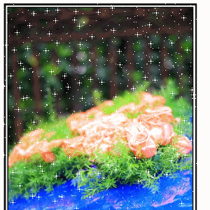 顿ĸ۞   ٵĺ